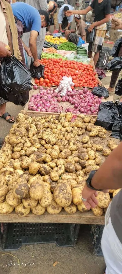 اخبار اليمن الان الحدث اليوم عاجل 