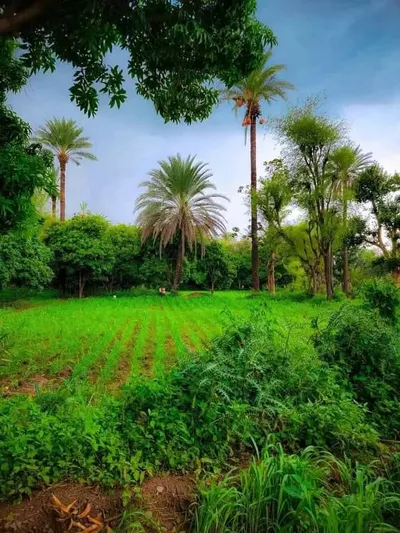 اخبار اليمن الان الأرصاد الامطار محافظات والامطار الغزيرة اخبار اليمن الان الحدث اليوم عاجل