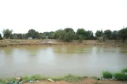 صحيفة المرصد اخبار اليمن الان وفـ أطفال حادثة مأساوية المحافظة اخبار اليمن الان الحدث اليوم عاجل صحيفة المرصد