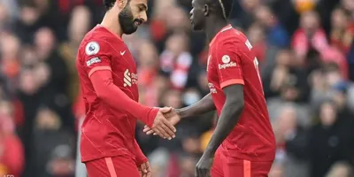 اخبار اليمن الان أخيرا يعترف بطبيعة علاقته ساديو اخبار اليمن الان الحدث اليوم عاجل