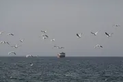 وكالة الصحافة اليمنية اخبار اليمن الان إيراني لادعاءات عبور أمريكية مضيق اخبار اليمن الان الحدث اليوم عاجل وكالة الصحافة اليمنية