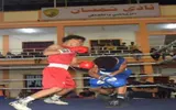عدن تايم اخبار اليمن الان شمسان يعلن بطلا الملاكمة البطولة اخبار اليمن الان الحدث اليوم عاجل عدن تايم