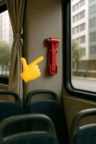 اخبار اليمن الان الجدل حافلات مطرقة طوارئ احتراق اخبار اليمن الان الحدث اليوم عاجل