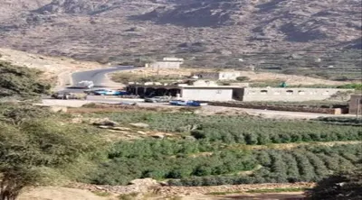 اخبار اليمن الان الحدث اليوم عاجل 