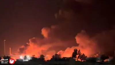 اخبار اليمن الان إنساني يخاطر بحياته لإنقاذ حيوانات اخبار اليمن الان الحدث اليوم عاجل