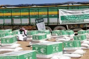 اخبار اليمن الان الحدث اليوم عاجل عرب تايم
