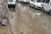 اخبار اليمن الان الحدث اليوم عاجل كريتر إسكاي