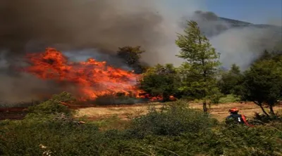 اخبار اليمن الان الإطفاء اليونانية تكافح غابات الرابع اخبار اليمن الان الحدث اليوم عاجل