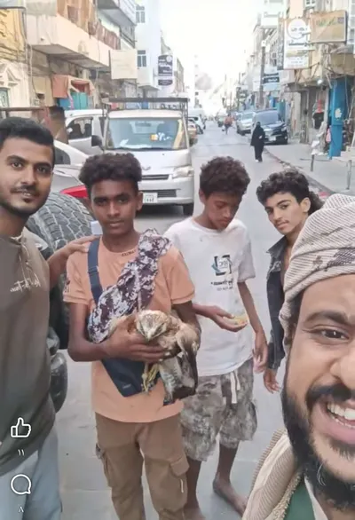 اخبار اليمن الان الحدث اليوم عاجل 