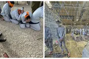 صحيفة الثورة صنعاء اخبار اليمن الان مؤسسات الأسرى المناضل والأسير الفلسطيني اخبار اليمن الان الحدث اليوم عاجل صحيفة الثورة صنعاء