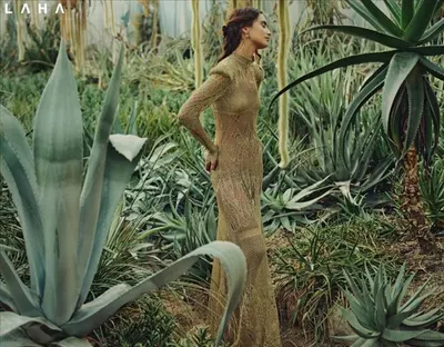 اخبار اليمن الان وأناقة إطلالات مليئة بالأنوثة والفخامة اخبار اليمن الان الحدث اليوم عاجل