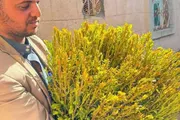 كريتر إسكاي اخبار اليمن الان مطالبات بمنع دخول القات شبوة اخبار اليمن الان الحدث اليوم عاجل كريتر إسكاي