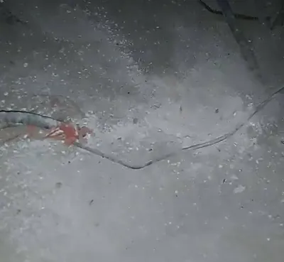 اخبار اليمن الان تفجير ومدمر لمنزل قيادي تفاصيل اخبار اليمن الان الحدث اليوم عاجل