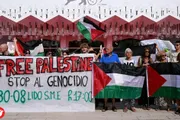السلام نيوز اخبار اليمن الان عالمي فينيسيا السينمائي يطالبون فلسطين اخبار اليمن الان الحدث اليوم عاجل السلام نيوز