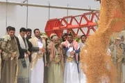 صحيفة الثورة صنعاء اخبار اليمن الان تدشين موسم حصاد القمح الجوف اخبار اليمن الان الحدث اليوم عاجل صحيفة الثورة صنعاء