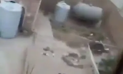 اخبار اليمن الان جريمة عائلي يتحول مأساة العدالة اخبار اليمن الان الحدث اليوم عاجل