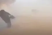 عدن تايم اخبار اليمن الان الحوثي بكارثة الدمام المعركة الملوك اخبار اليمن الان الحدث اليوم عاجل عدن تايم