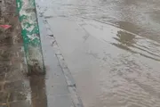 اخبار اليمن الان الحدث اليوم عاجل كريتر إسكاي