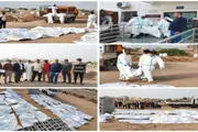 اخبار اليمن الان الحدث اليوم عاجل صحيفة المرصد