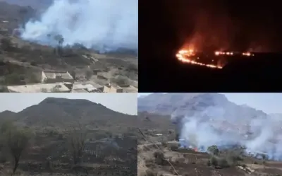 اخبار اليمن الان مليشيات الحوثي مزارع اليمنيين الضالع اخبار اليمن الان الحدث اليوم عاجل