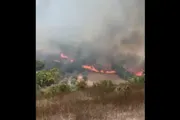 صحيفة الثورة صنعاء اخبار اليمن الان العدو الإسرائيلي حرائق الجبل وحداثا اخبار اليمن الان الحدث اليوم عاجل صحيفة الثورة صنعاء