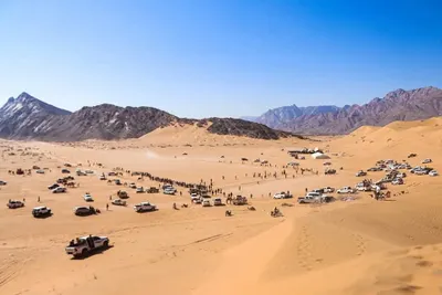 اخبار اليمن الان اختتام لمهرجان لسباقات وتتويج المطهري اخبار اليمن الان الحدث اليوم عاجل