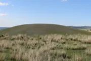 السلام نيوز اخبار اليمن الان الذهبي وراثيا للسلطة مجتمعات الحديدي اخبار اليمن الان الحدث اليوم عاجل السلام نيوز