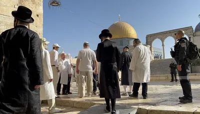 اخبار اليمن الان المستوطنين يواصلون اقتحام المسجد الأقصى اخبار اليمن الان الحدث اليوم عاجل