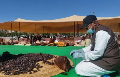 اخبار اليمن الان فعالية الشنة تختتم المزارعين العلا اخبار اليمن الان الحدث اليوم عاجل