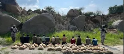 اخبار اليمن الان عدد600 كجم قات العبور المكان اخبار اليمن الان الحدث اليوم عاجل