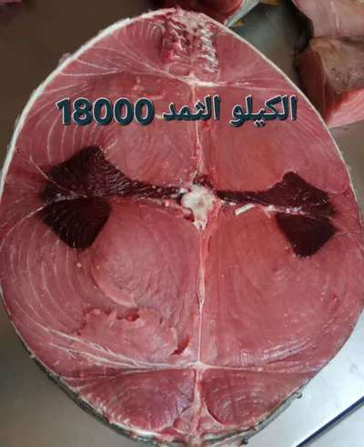اخبار اليمن الان اسماك الثمد أسعار خيالية بعدن اخبار اليمن الان الحدث اليوم عاجل