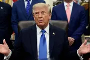 عرب تايم اخبار اليمن الان قاعدة الجديدة البطاقات الخضراء التنفيذ اخبار اليمن الان الحدث اليوم عاجل عرب تايم