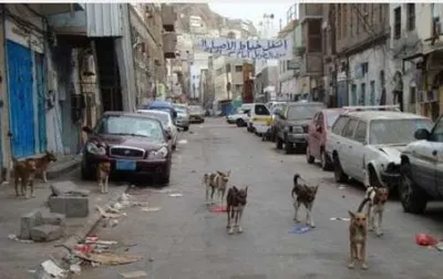 اخبار اليمن الان مناشدات استجابة الساحل الذهبي بالتواهي اخبار اليمن الان الحدث اليوم عاجل