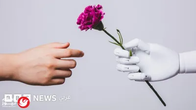 اخبار اليمن الان بـجلسة الملوك القلوب ملايين المشاهدات اخبار اليمن الان الحدث اليوم عاجل