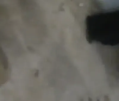 اخبار اليمن الان الحوثيون يقتحمون لتحفيظ القرآن ويعتقلون اخبار اليمن الان الحدث اليوم عاجل