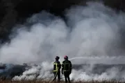 السلام نيوز اخبار اليمن الان حرائق الغابات عمليات واستنفار الإطفاء اخبار اليمن الان الحدث اليوم عاجل السلام نيوز