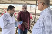 اخبار اليمن الان الحدث اليوم عاجل صدى الحقيقة