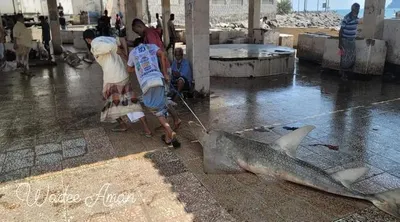 اخبار اليمن الان حراج صيرة بعدن يشهد خيالي اخبار اليمن الان الحدث اليوم عاجل