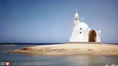 اخبار اليمن الان ملابسات اختفاء بأولمبيا بالاتجار بالبشر اخبار اليمن الان الحدث اليوم عاجل