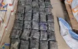 سام برس اخبار اليمن الان احباط محاولة تهريب المخدرات بمنطقة اخبار اليمن الان الحدث اليوم عاجل سام برس