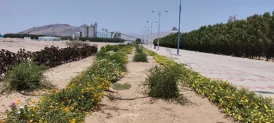 اخبار اليمن الان مجموعة مسلحة تختطف مدراء الوحدة اخبار اليمن الان الحدث اليوم عاجل