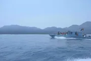 صدى الساحل اخبار اليمن الان التنسيق العملياتي الحوثيين وقراصنة الصومال اخبار اليمن الان الحدث اليوم عاجل صدى الساحل