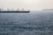 فرانس 24 اخبار اليمن الان مباشر الحوثيون ينفون المندب وترامب اخبار اليمن الان الحدث اليوم عاجل فرانس 24