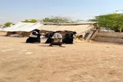 صحيفة المرصد اخبار اليمن الان الفترة الجولة الثالثة ميزانية الأسرة اخبار اليمن الان الحدث اليوم عاجل صحيفة المرصد