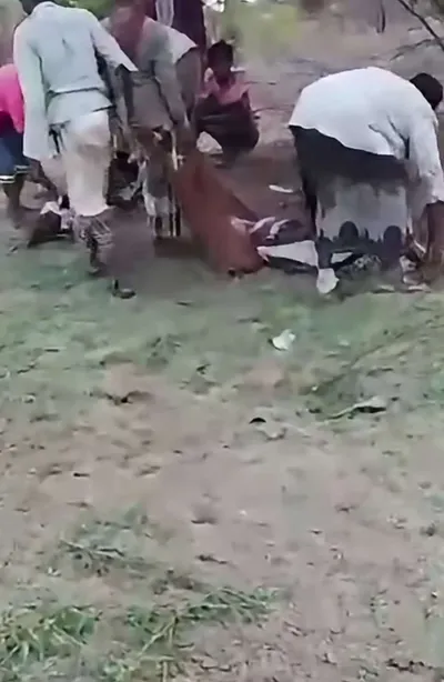 اخبار اليمن الان مقتل مزارعين بانفجار جنوبي الحديدة اخبار اليمن الان الحدث اليوم عاجل