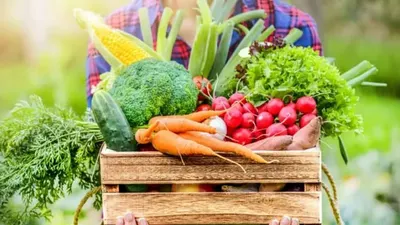 اخبار اليمن الان مشروطة للأنظمة الغذائية النباتية للأطفال اخبار اليمن الان الحدث اليوم عاجل