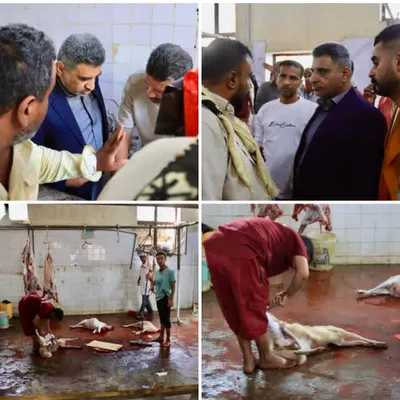 اخبار اليمن الان تدشين اللحوم بأسعار مدعومة المعلا اخبار اليمن الان الحدث اليوم عاجل