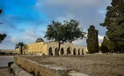 اخبار اليمن الان صنعاء إسلامي لمواجهة التجاوزات المقدسات اخبار اليمن الان الحدث اليوم عاجل