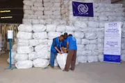 وكالة 2 ديسمبر اخبار اليمن الان ناموسية وطنية للوقاية الملاريا اليمن اخبار اليمن الان الحدث اليوم عاجل وكالة 2 ديسمبر