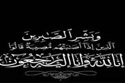 صحيفة المرصد اخبار اليمن الان التربية العبادي الأستاذ والدته الفاضلة اخبار اليمن الان الحدث اليوم عاجل صحيفة المرصد